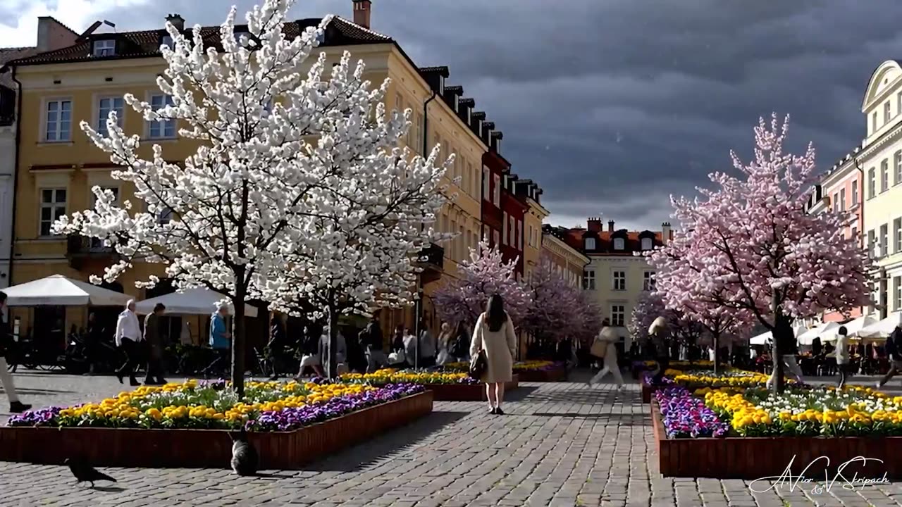 Апрель. Авторская песня