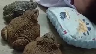 🤣🐸 Wait For The Ending... It's Just A Frog! | FunFM