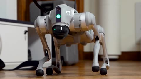 Robot dog learns and adapts like humans, AI startup says