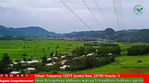 Oduu Waaree ONM-ABO Onkoloolessa 21-2025 itti dhiyaadhaa!