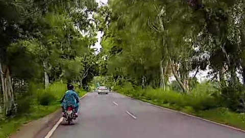 Peaceful Bike Ride Through Tree-Lined Roads 🌿 | Relaxing Night Vibes