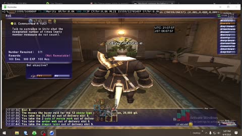 Playing Final Fantasy XI Online