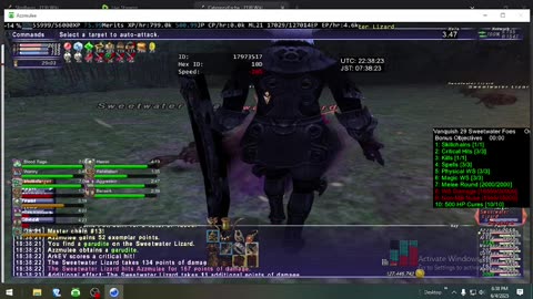 Playing Final Fantasy XI Online