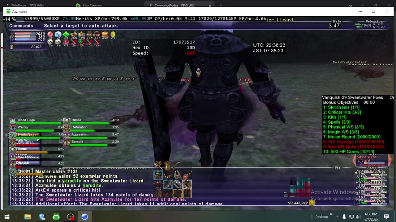 Playing Final Fantasy XI Online