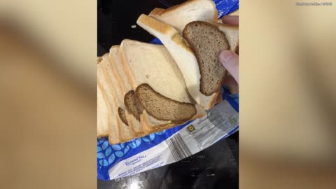 Shopper surprised to find hybrid slices within sandwich loaf