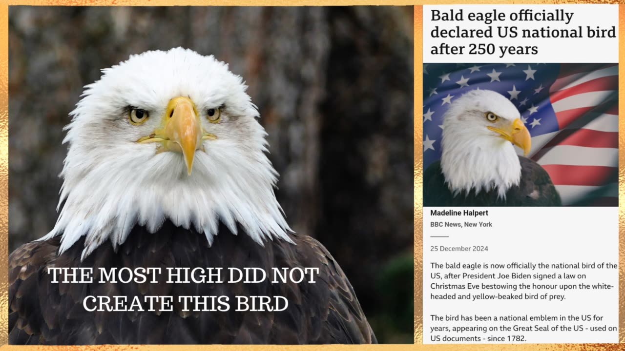 POTOMAC RIVER COLLISION HAWK COLLIDED WITH THE EAGLE SUN GOD RITUAL