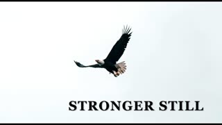 Pray USA, 8/15/2025 Stronger Still