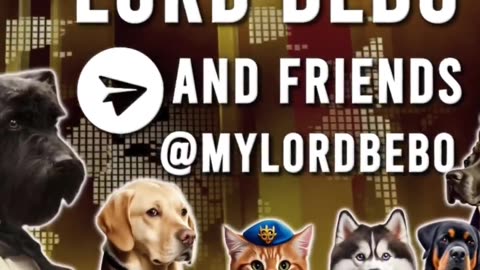 Ukraine war combat footage 11/9/25