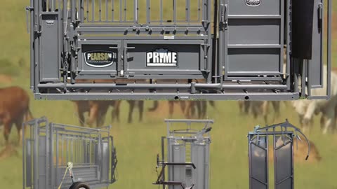 Pearson Squeeze Chute