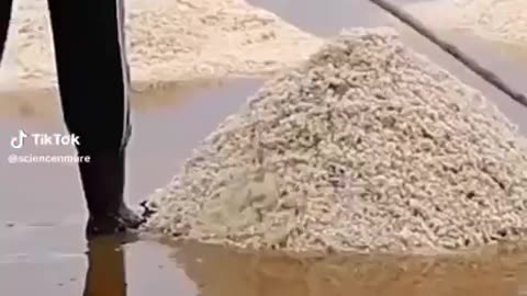 celtic salt & minerals