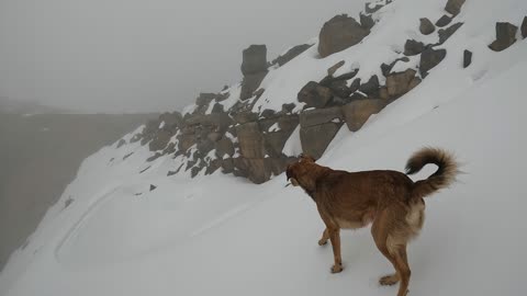 Exploring Nevado Ampay #abancay #apurimac #andes #mountains #trek