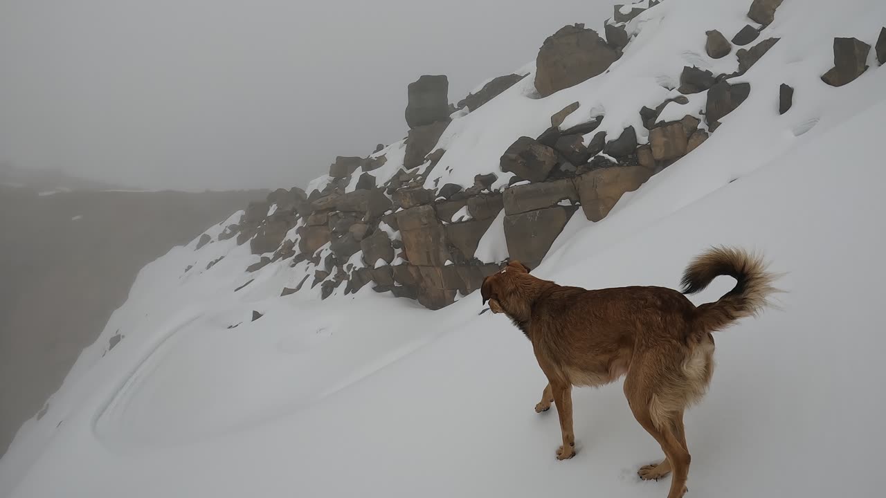 Exploring Nevado Ampay #abancay #apurimac #andes #mountains #trek