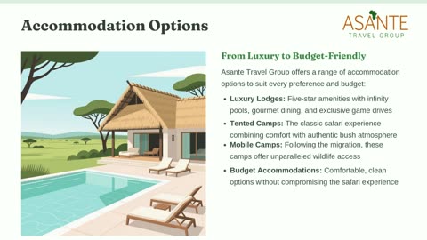 Plan Your Dream Tanzania Safari Holidays – Tips from Asante Travel Group