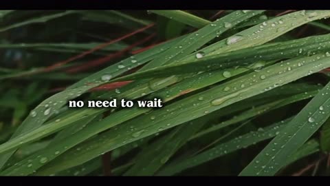 SHOW ME A MIRACLE (LYRIC)