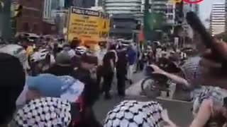 Go Back an Fight.