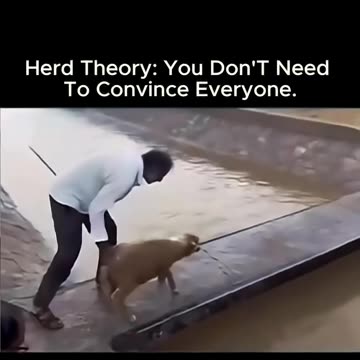 As humans, we tend to follow the crowd without ever asking ourselves where we really stand.🎯