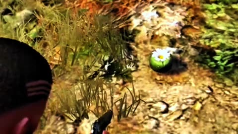 Peyote Plants Location In GTA V 03/27