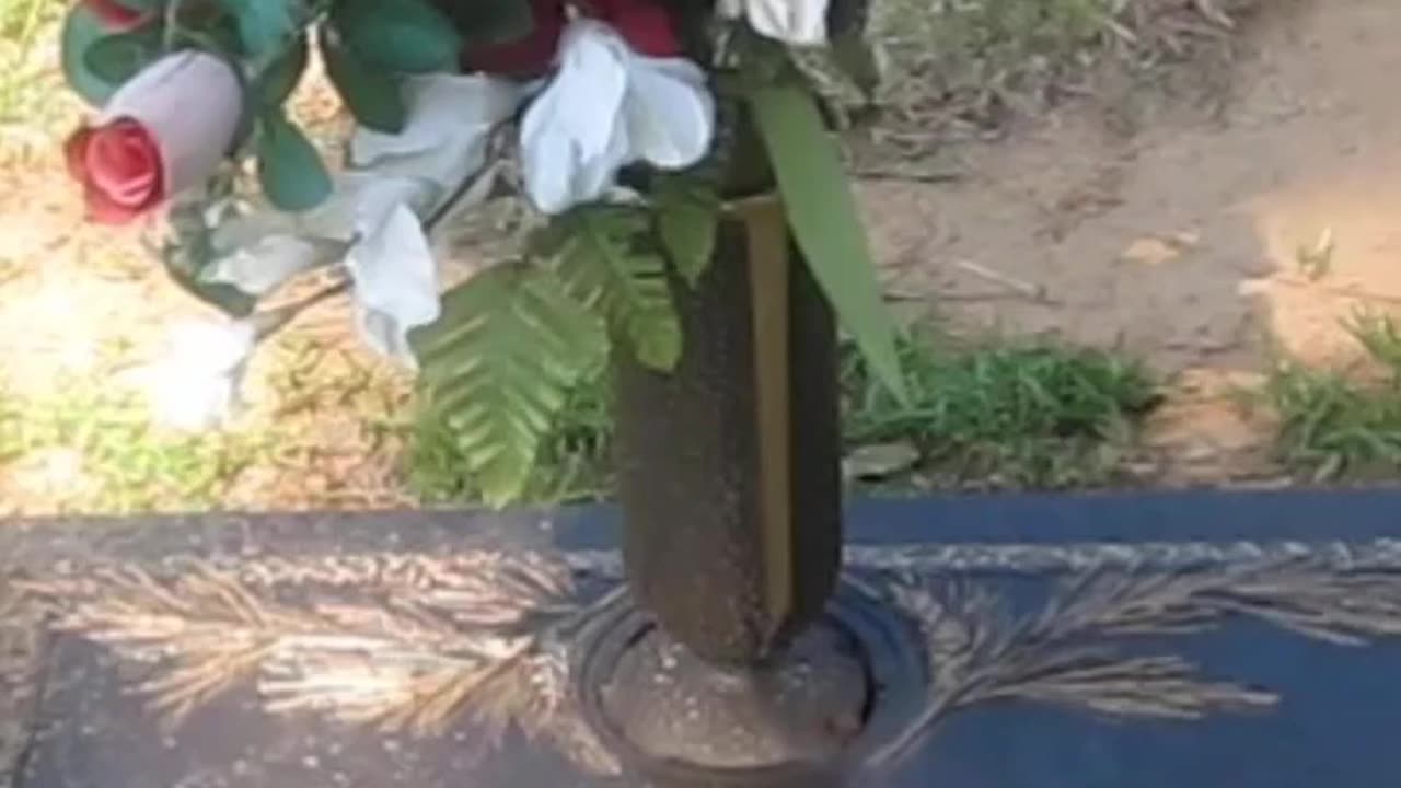 FAMOUS GRAVES - VOL. 504: JOHNNY HORTON