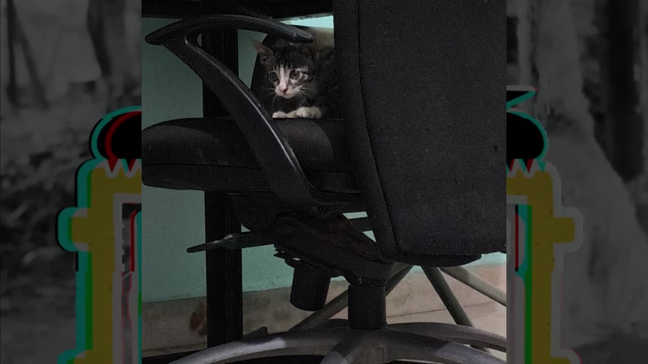 2nd Aug Wrench continues spying on brothers Patch & Alt