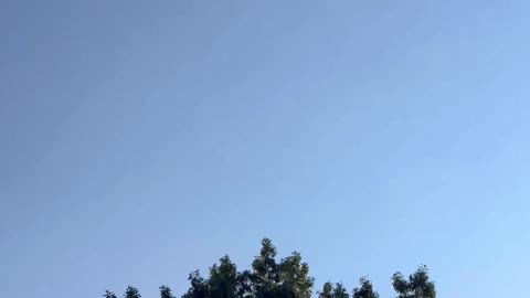 “USA! USA!” chant as the B2’s soar over the White House on July 4th, 2025