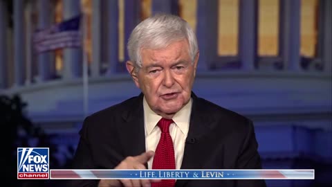 Newt Gingrich Calls on Trump to 'Eliminate' Activist Judges to End 'Dictatorship'