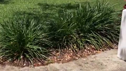 Veterans Memorial Island Sanctuary: Complete Patriotic Walking Tour in Vero Beach, Florida