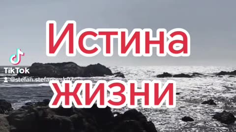 Истина жизни