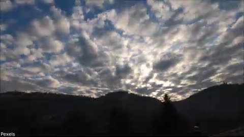 Daily Dose Of Internet