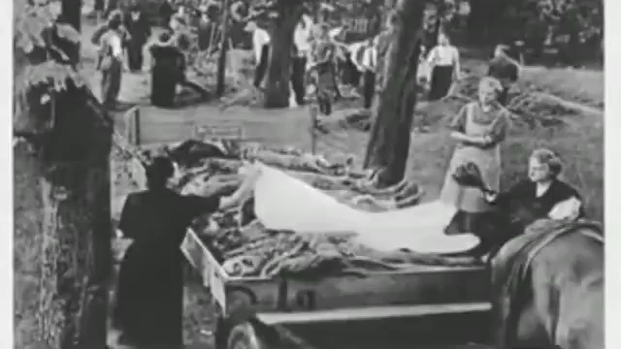 Why did Germany invade Poland?