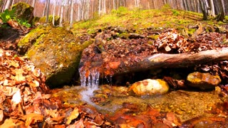 God's Treasury!