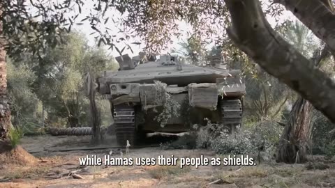 This is Why we Fight