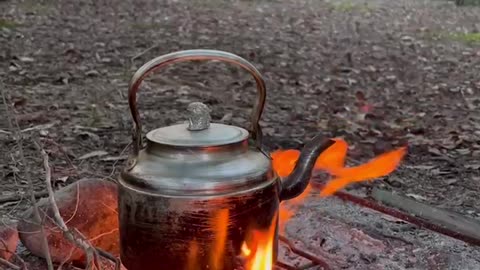 Making charcoal tea