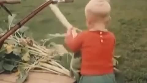 The joyous sight of a 2-Yr-Old farmer in the 1960s