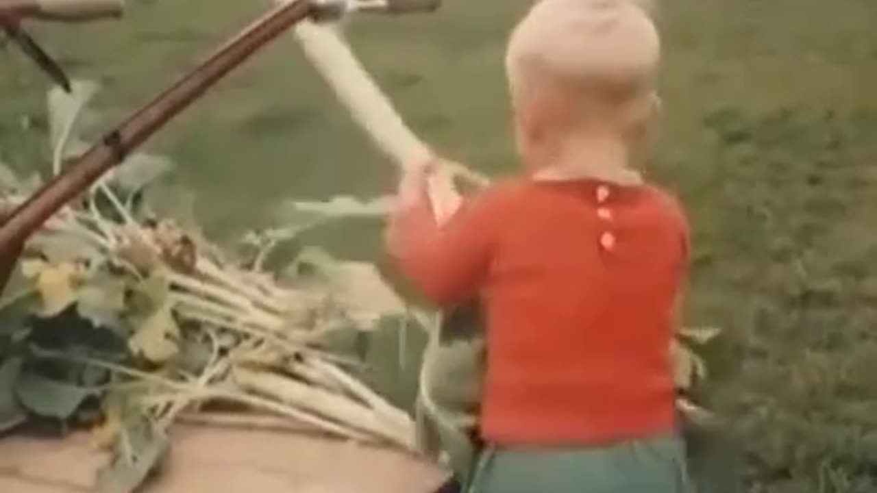 The joyous sight of a 2-Yr-Old farmer in the 1960s