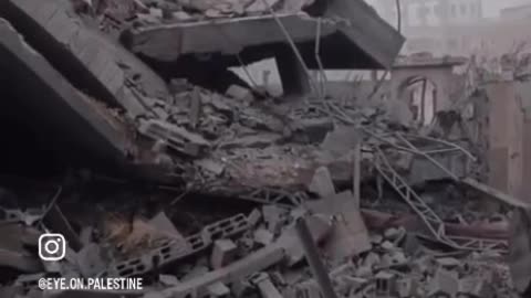 Destroyed in Palestine