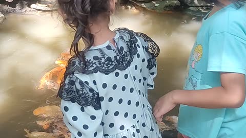 playing fish feeding