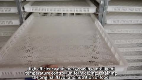 Fruit and vegetable dehydration equipment