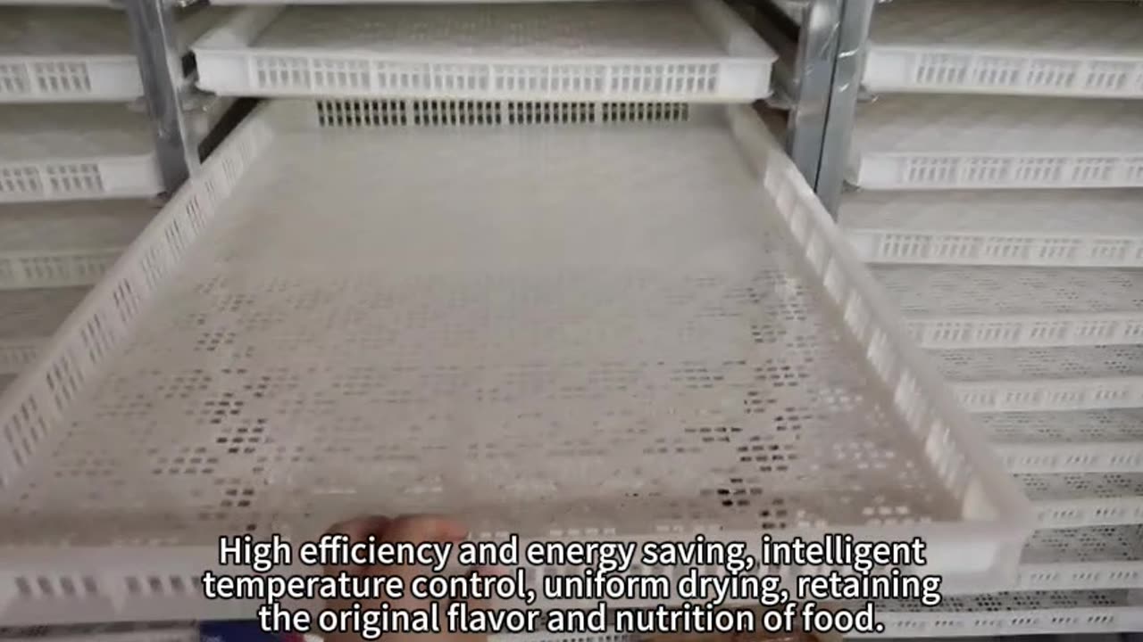 Fruit and vegetable dehydration equipment