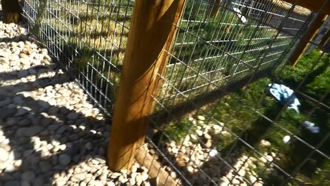 Weird snake repellents, also good for keeping Wendi primates away!