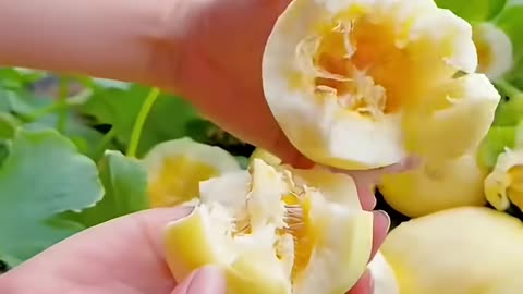 Amazing Secret Fruits Garden in Jungle #fruit #shorts #nature