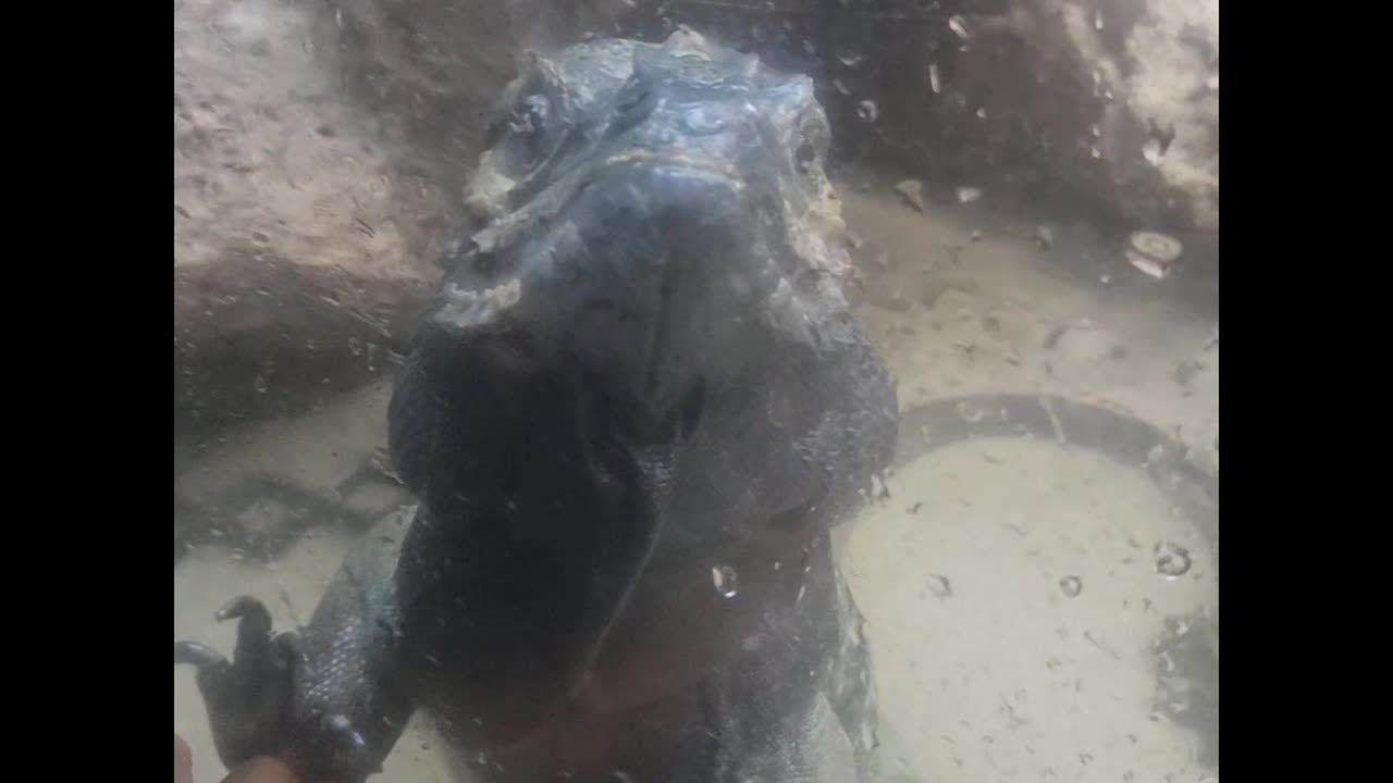 Aquarium