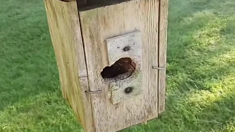 Ridiculously high rent