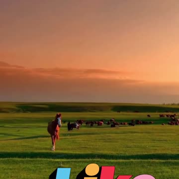 😊 168 DEJA DE PEDIR PERMISO PARA BRILLAR 😊