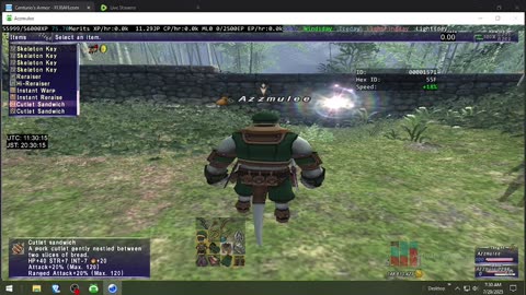 Playing Final Fantasy XI Online