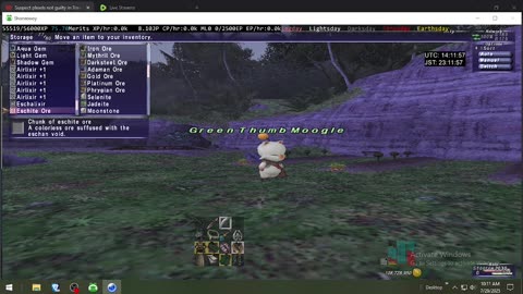 Playing Final Fantasy XI Online