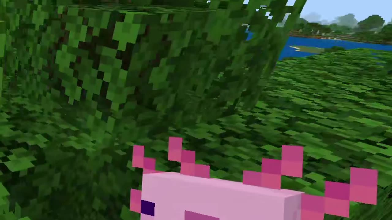 Reason to play Bedrock