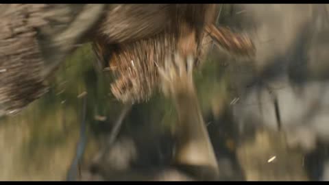 Elephant Stampede Scene | Mufasa: The Lion King | 2024