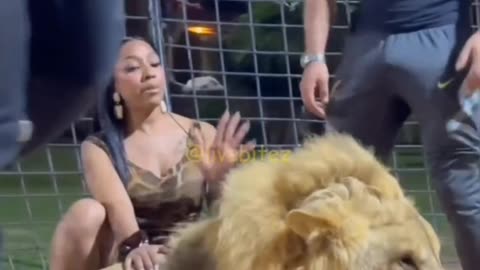 Yung Miami's Wild Lion Encounter While Diddy and Cassie Fight in Court