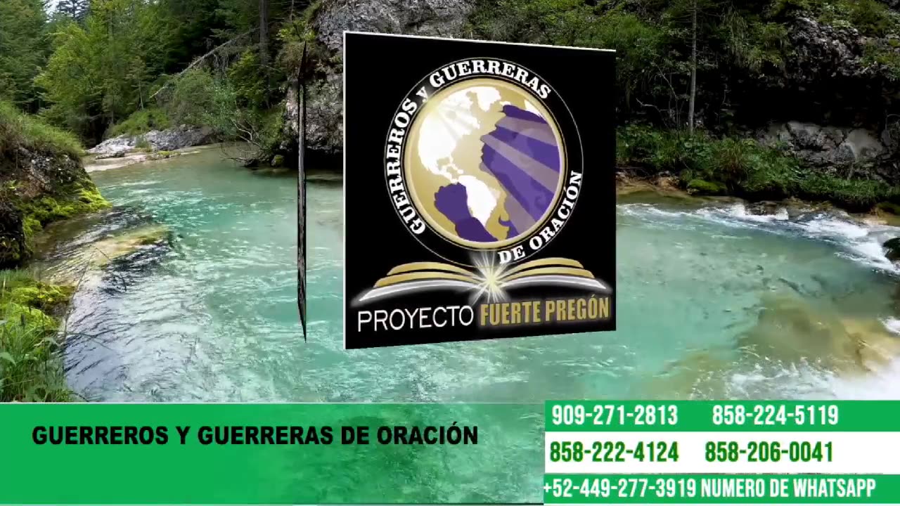 Title recepción de sábado 09/05 2025