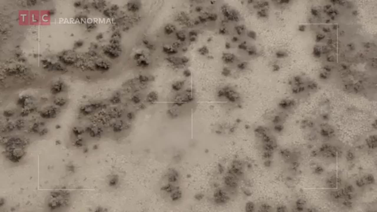 Un extraterrestre EVADÉ DE LA ZONE 51 👽 Alien Highway